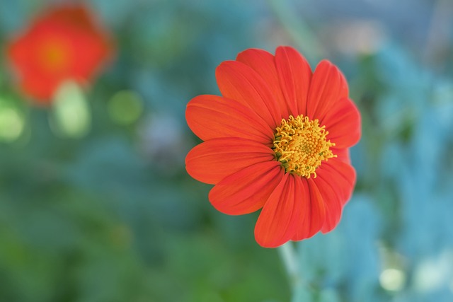 和节奏把控 和节奏把控